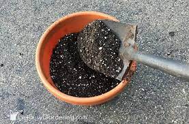 Best Potting Mix For Container Gardening