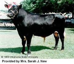 Image result for Just like sire, also a cow to buffalo state monthly out of Upland,CA.