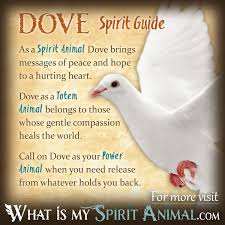 dove symbolism meaning spirit