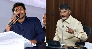 Image result for tdp ycp