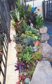 Outdoor Succulent Garden Ideas