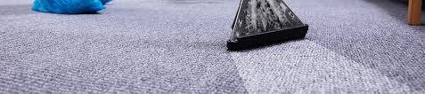 home professional carpet cleaning
