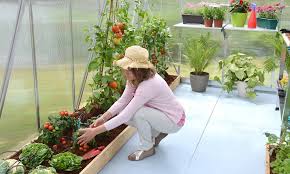 Indoor Vegetable Gardening For Fresh