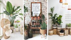 decorating home corners with plants