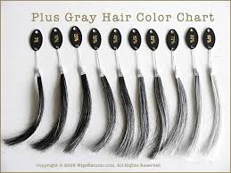 Plus Gray Hair Color Chart In 2019 Grey Hair Colour Chart