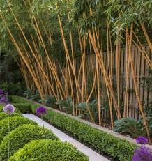 How To Grow Bamboo Artificial Plants