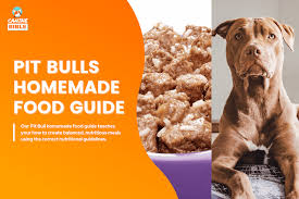 homemade dog food for pit bulls guide