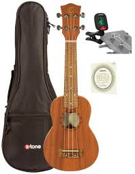 ukulele low s beginner and pro