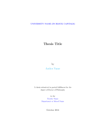 Master Thesis 