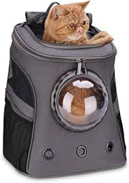 the 10 best cat backpacks in 2024