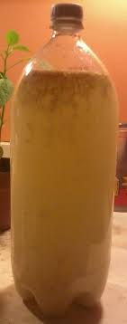 how to make ginger beer my tried and