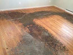 Learn how to install temporary flooring over carpet with these easy steps! How To Remove Residue From Under Carpet From H W Floors