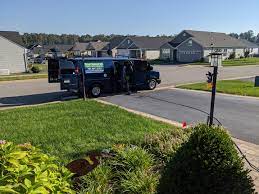carpet cleaning in stafford va