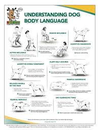 Canine Body Language Flip Chart Bark Busters Collection