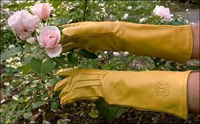 Rose Gloves For Scratch Free Gardening
