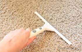 squeegee carpet hair remover petdiys com