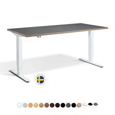 I really wanted a geek desk, but they're like 1,000 dollars. Rise 2 Dual Electric Motor Adjustable Height Standing Desk 1600 X 700 800mm Rise 2 168