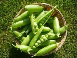 legume to love peas food network