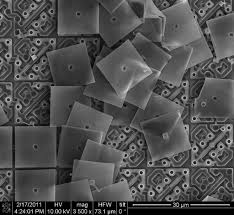 nano world revealed national geographic society nano world revealed