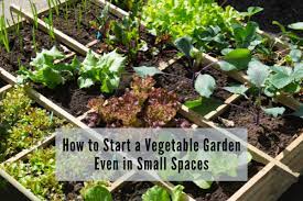 Vegetable Garden Even In Small Spaces