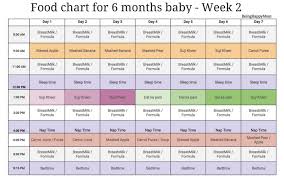 indian food t chart for 6 months