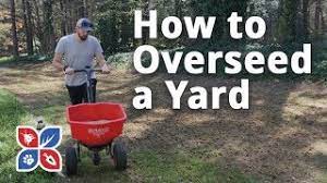 Most lawn care service owners prefer to start out with basic mowing and add other services as they become more experienced and acquire more but you can also figure out how much the market will bear by calculating the size of your own lot and calling a few of the lawn care companies in the. Do My Own Lawn Care Series Domyown Com