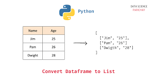 convert dataframe to a list in python