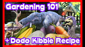 gardening 101 dodo kibble recipe in