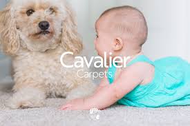 cavalier carpets northlight