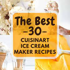 30 cuisinart ice cream maker recipes