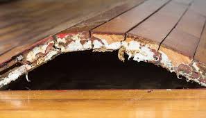 how to fix water damage on wood