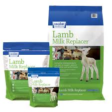 Lamb Kid Colostrum Replacer Sav A Caf