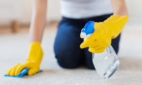 lin s cleaning services up to 36 off
