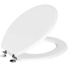 Oval Shaped White Toilet Seat