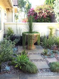 showcase succulents in large pots