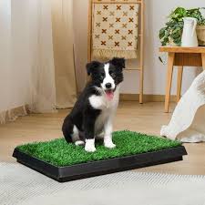 pet potty training pad mat tray