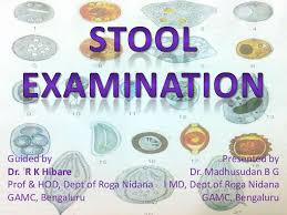 Stool Examination