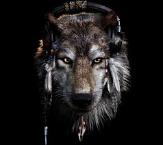 We offer an extraordinary number of hd images that will instantly freshen up your smartphone or computer. Iphone 11 Pro Wolf Wallpaper Wallpapershit