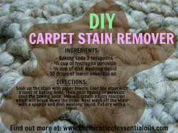 diy homemade carpet stain remover for