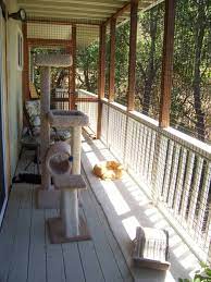 An Enclosed Deck Just For The Kitties