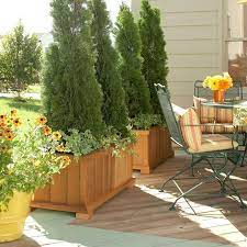 Decorate Your Deck Or Patio With Plants