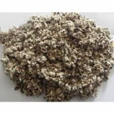 cotton seed hull cotton seed waste