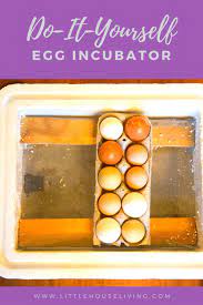 hatching eggs in a diy egg incubator