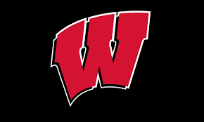 Image result for wisconsin badgers