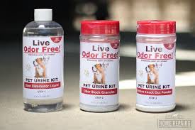 Cat Urine Odor From Concrete