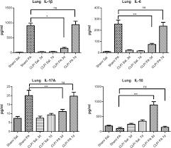 lung cytokine levels in septic mice
