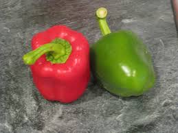 Undercover Guinea Pigs Veggie Of The Week Bell Peppers