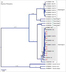 Most outdoor photo shoots are taken in rio de janeiro beaches or mountains, as well in balneario camboriu and possible other places around brazil. Occurrence And Molecular Characterization Of Giardia Duodenalis Cysts And Cryptosporidium Oocysts In Raw Water Samples From The Rimac River Peru Springerlink