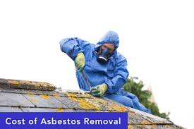 asbestos removal costs and information
