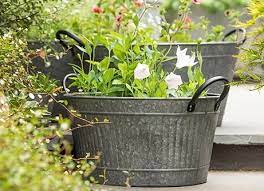 Garden Pots And Containers Rhs Plants